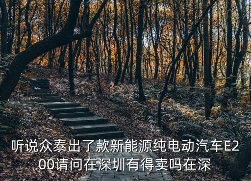 聽說眾泰出了款新能源純電動汽車E200請問在深圳有得賣嗎在深