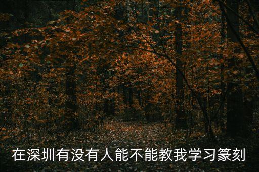 深圳寶安篆刻，深圳哪里可以篆刻印章的