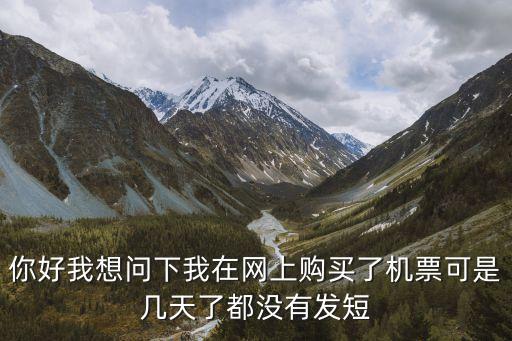 你好我想問下我在網(wǎng)上購(gòu)買了機(jī)票可是幾天了都沒有發(fā)短