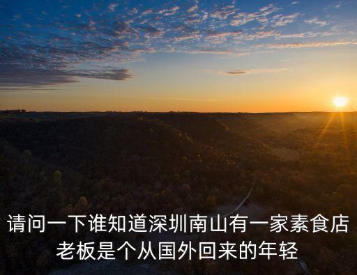 請問一下誰知道深圳南山有一家素食店老板是個從國外回來的年輕