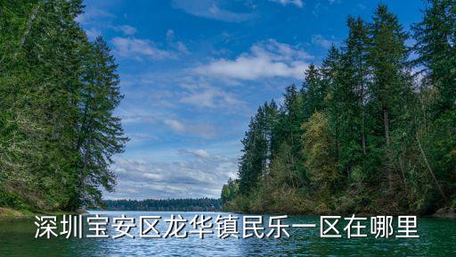 深圳寶安區龍華鎮民樂一區在哪里