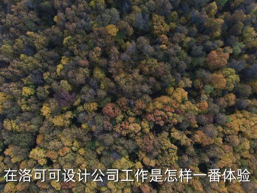 洛可可設計深圳有限公司怎么樣，在洛可可設計公司工作是怎樣一番體驗