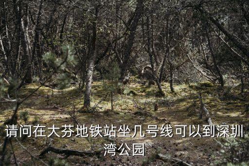 請問在大芬地鐵站坐幾號線可以到深圳灣公園