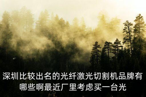 深圳比較出名的光纖激光切割機(jī)品牌有哪些啊最近廠里考慮買一臺光