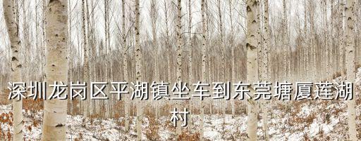 深圳龍崗區平湖鎮坐車到東莞塘廈蓮湖村