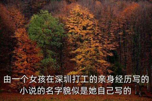 深圳合租劍飛，由一個女孩在深圳打工的親身經歷寫的小說的名字貌似是她自己寫的