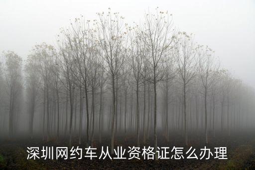 深圳市滴滴網約車駕駛證在哪里考，滴滴網約證在那里考試