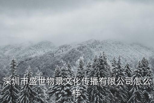 深圳市和美盛世文化傳播，深圳寶安哪間影視公司有實力