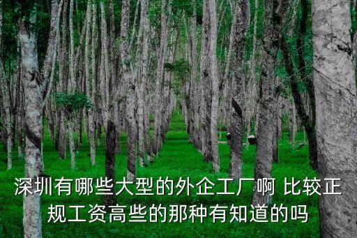 深圳有哪些大型的外企工廠啊 比較正規工資高些的那種有知道的嗎