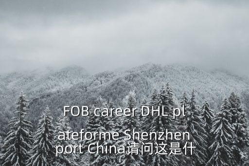 FOB career DHL plateforme Shenzhen port China請問這是什