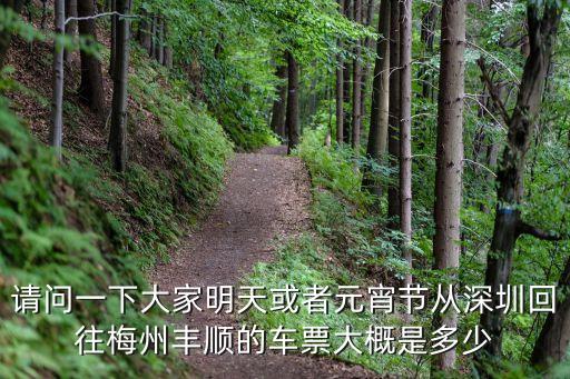 深圳到豐順的高鐵火車票價，現在從深圳回豐順的車票是多少錢呀