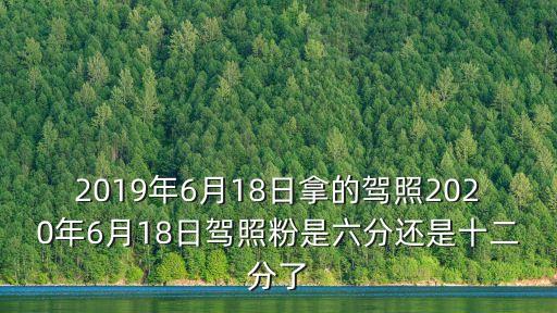 2019年6月18日拿的駕照2020年6月18日駕照粉是六分還是十二分了