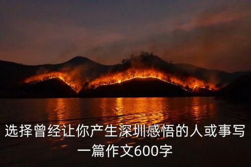 選擇曾經讓你產生深圳感悟的人或事寫一篇作文600字