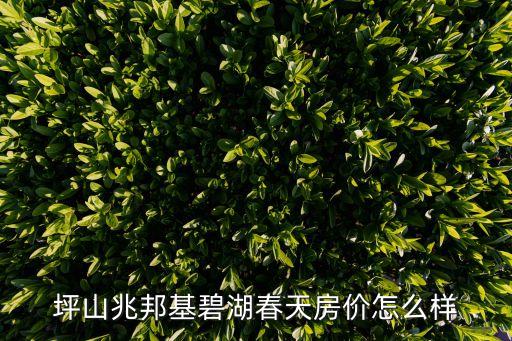 坪山兆邦基碧湖春天房?jī)r(jià)怎么樣