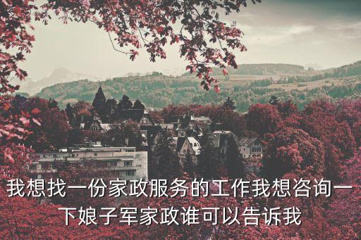 我想找一份家政服務的工作我想咨詢一下娘子軍家政誰可以告訴我