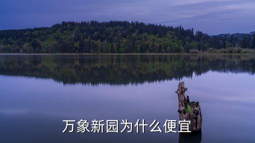 深圳萬(wàn)象新園最新進(jìn)度，深圳市南山區(qū)萬(wàn)象新園a棟14l屬于哪個(gè)街道