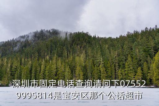 深圳市固定電話查詢請問下075529995814是寶安區那個公話超市