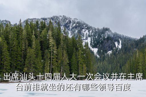 深圳馮玲出席活動，今天晚八點亮十萬蠟燭照天堂之路的活動在哪里