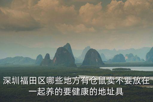深圳福永倉鼠市場，深圳福田區哪些地方有倉鼠賣不要放在一起養的要健康的地址具