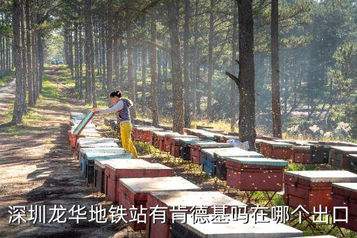 深圳地鐵11號(hào)線哪個(gè)有麥當(dāng)勞，深圳龍華地鐵站有肯德基嗎在哪個(gè)出口