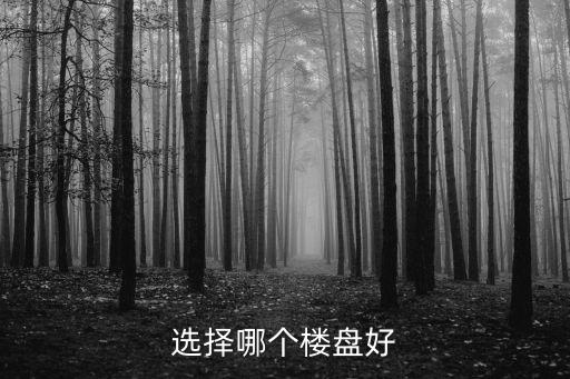 選擇哪個樓盤好