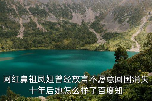 網紅鼻祖鳳姐曾經放言不愿意回國消失十年后她怎么樣了百度知