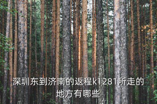 深圳東到濟南的返程k1281所走的地方有哪些