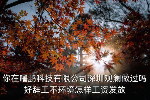 你在曙鵬科技有限公司深圳觀瀾做過嗎好辭工不環境怎樣工資發放