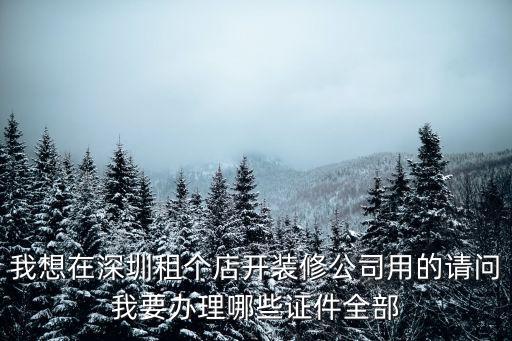 深圳裝修公司營業執照照片，深圳營業執照