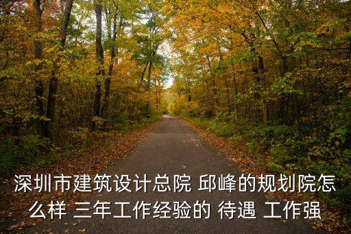 深圳市建筑設計總院 邱峰的規劃院怎么樣 三年工作經驗的 待遇 工作強