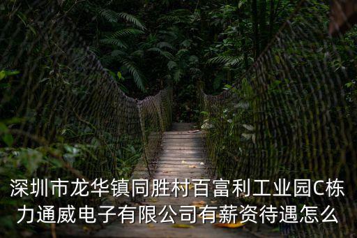 深圳市龍華鎮同勝村百富利工業園C棟力通威電子有限公司有薪資待遇怎么