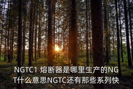 NGTC1 熔斷器是哪里生產的NGT什么意思NGTC還有那些系列快