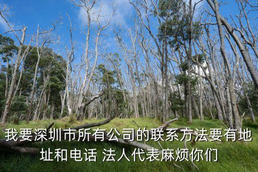 我要深圳市所有公司的聯系方法要有地址和電話 法人代表麻煩你們
