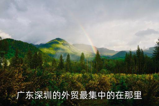 廣東深圳的外貿最集中的在那里