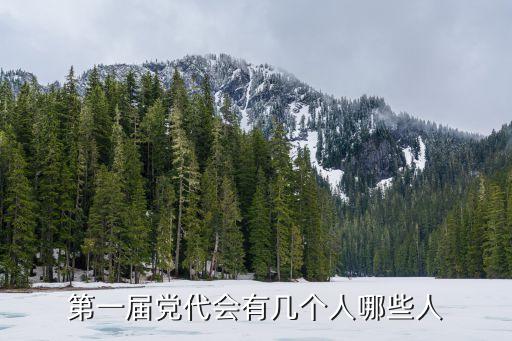 第一屆黨代會有幾個人哪些人