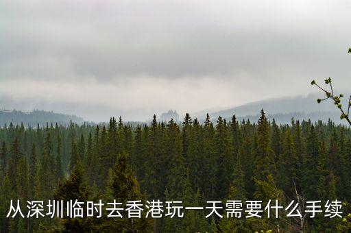 從深圳臨時去香港玩一天需要什么手續