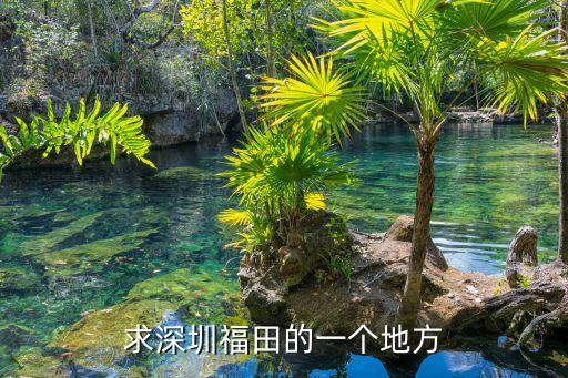 深圳市福田區海濱廣場地圖，求深圳福田的一個地方