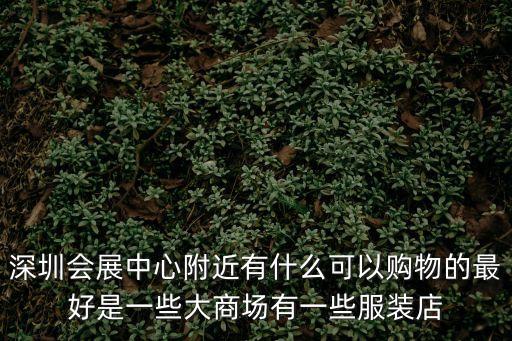 深圳國際會展中心周邊有哪些，急深圳會展中心附近