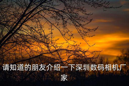 深圳博思迪科技有限公司簡介，博威科技深圳有限公司怎么樣