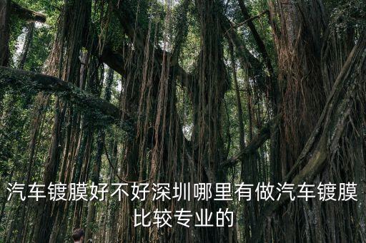 汽車鍍膜好不好深圳哪里有做汽車鍍膜比較專業(yè)的