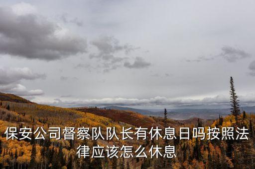 深圳龍華保安公司督察，保安公司督察隊隊長有休息日嗎按照法律應該怎么休息