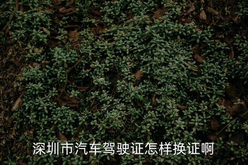 深圳市汽車駕駛證怎樣換證啊
