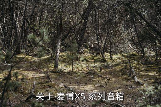 深圳麥博玄道x5音箱價格，關于 麥博X5 系列音箱