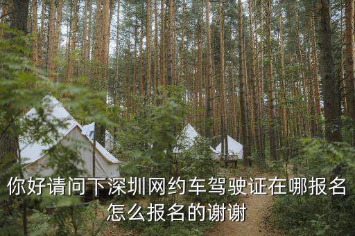 深圳滴滴駕照到哪里考，在深圳跑滴滴被抓駕駛證被扣了半年請問一下是在哪個地方培訓的