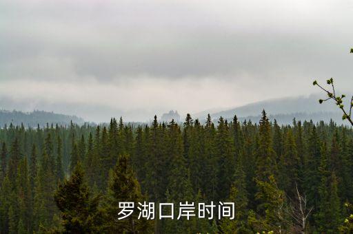 深圳羅湖關口入境最佳時間，羅湖口岸時間