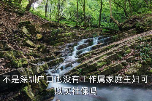 深圳小區家庭主婦，深圳家庭主婦43歲沒有工作可否個人繳納養老保險和醫療保險是否