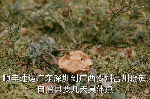 順豐速運廣東深圳到廣西賀州富川瑤族自治縣要幾天具體點