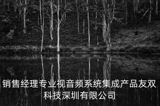 銷售經理專業視音頻系統集成產品友雙科技深圳有限公司