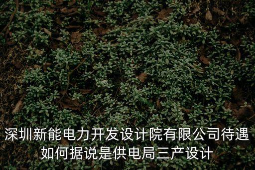 深圳新能電力開(kāi)發(fā)設(shè)計(jì)院有限公司待遇如何據(jù)說(shuō)是供電局三產(chǎn)設(shè)計(jì)