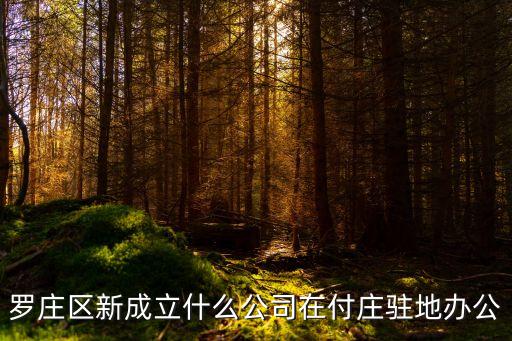 羅莊區(qū)新成立什么公司在付莊駐地辦公